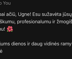 Paslaugos verslui - Profesionalios teisinės paslaugos - 2
